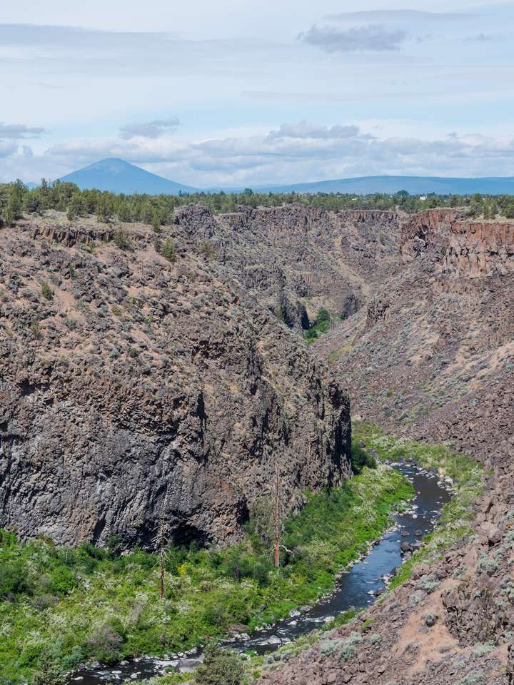 Орегонщина