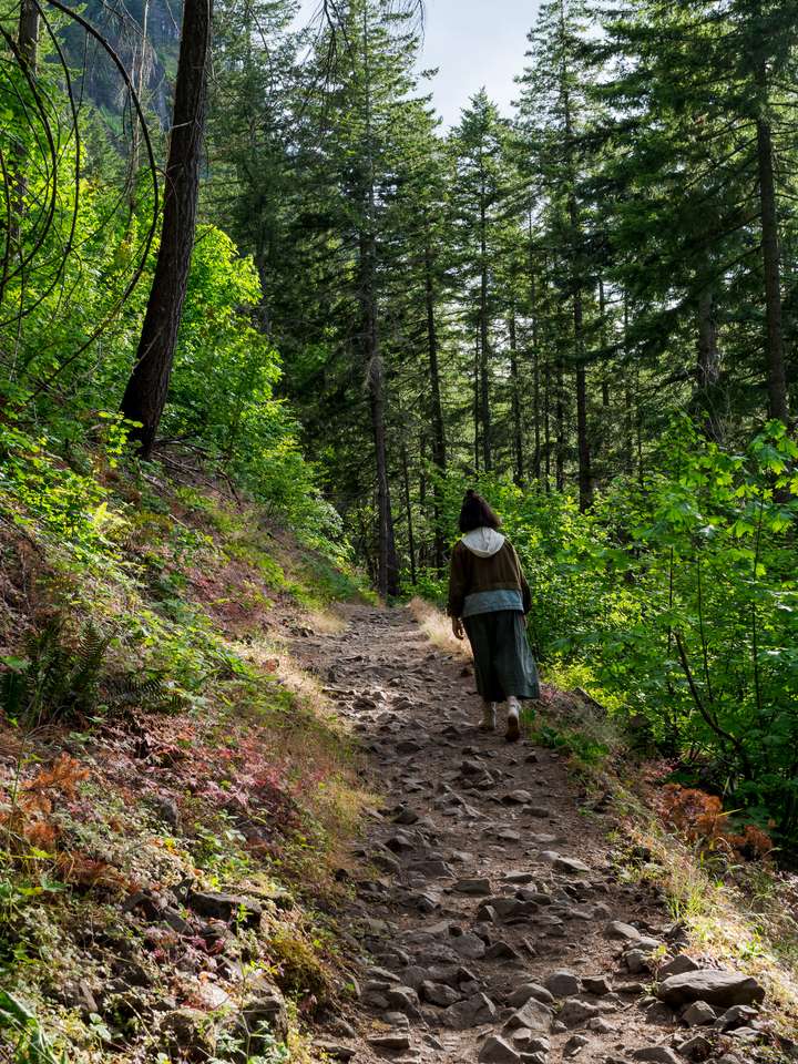 Опасная тропа